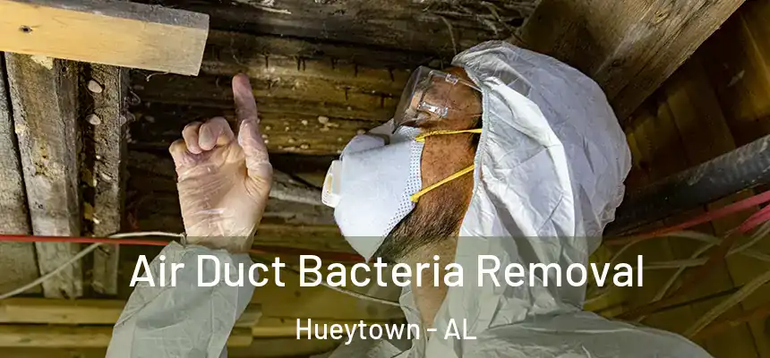 Air Duct Bacteria Removal Hueytown - AL
