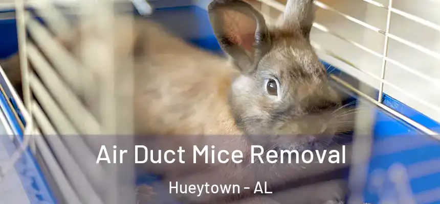  Air Duct Mice Removal Hueytown - AL