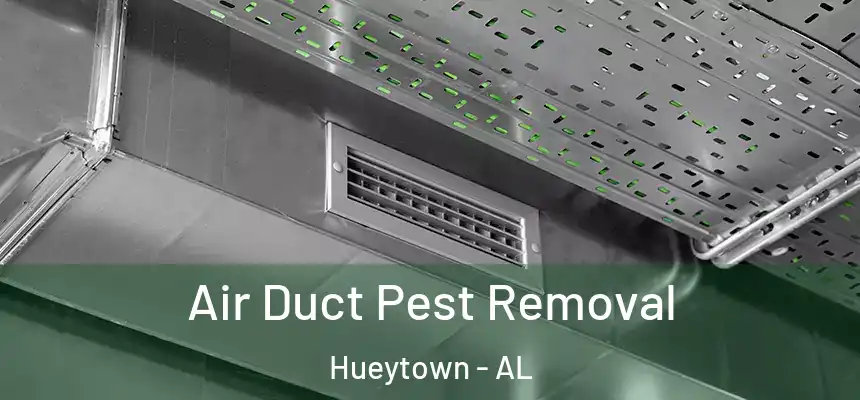  Air Duct Pest Removal Hueytown - AL