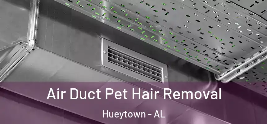 Air Duct Pet Hair Removal Hueytown - AL