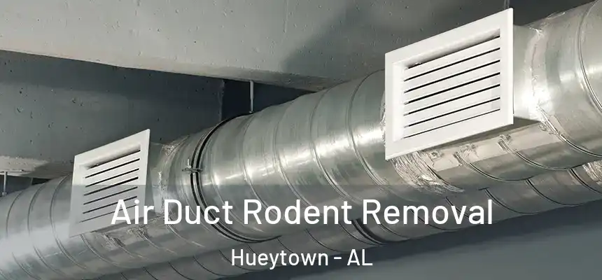  Air Duct Rodent Removal Hueytown - AL