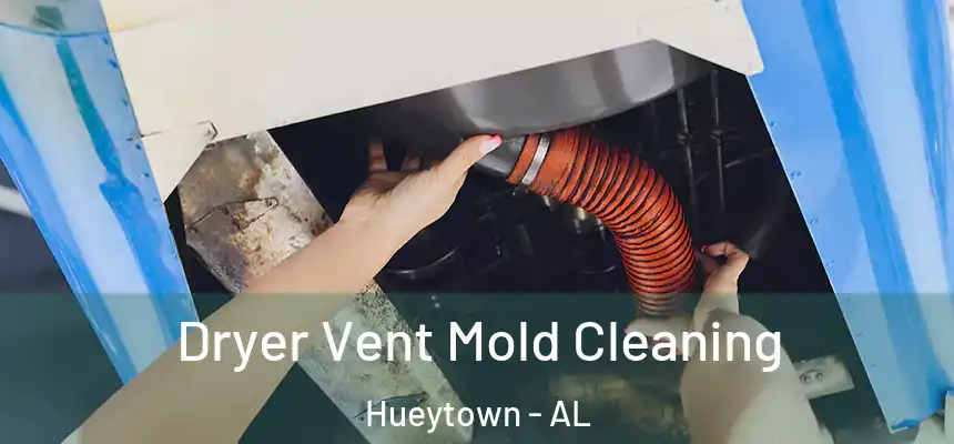  Dryer Vent Mold Cleaning Hueytown - AL