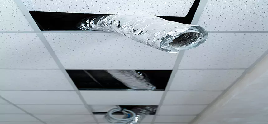 Our Air Duct Pet Hair Removal Services in Hueytown, AL