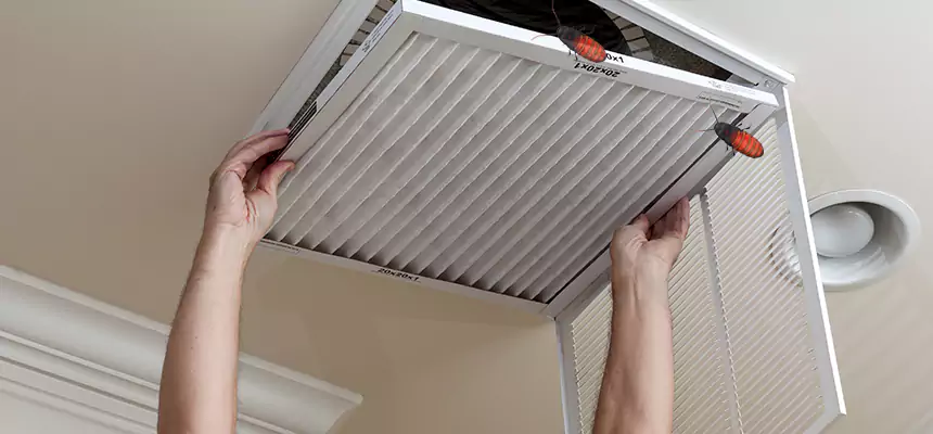 Our Insect Removal from Air Ducts Services in Hueytown, AL