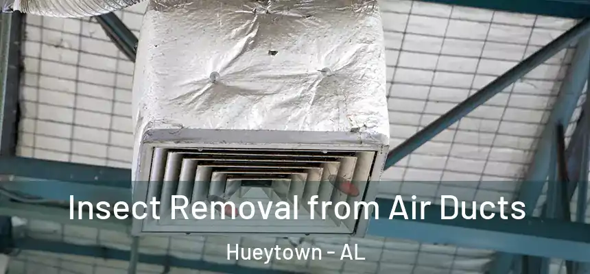  Insect Removal from Air Ducts Hueytown - AL