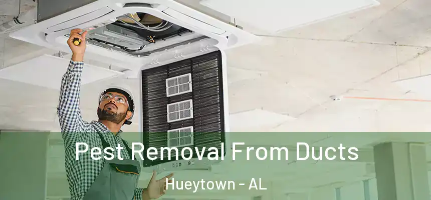 Pest Removal From Ducts Hueytown - AL