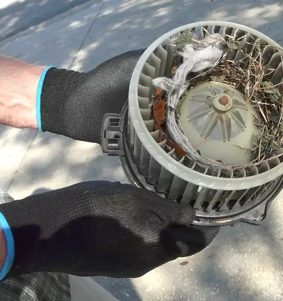 About Air Duct Rat Removal in Hueytown, AL